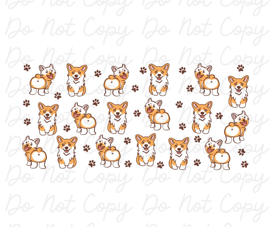 Corgis