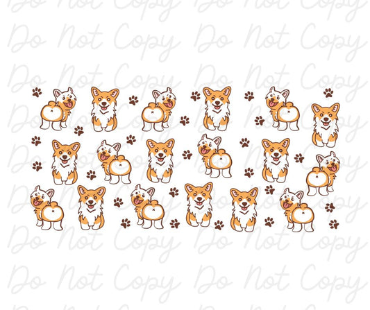 Corgis