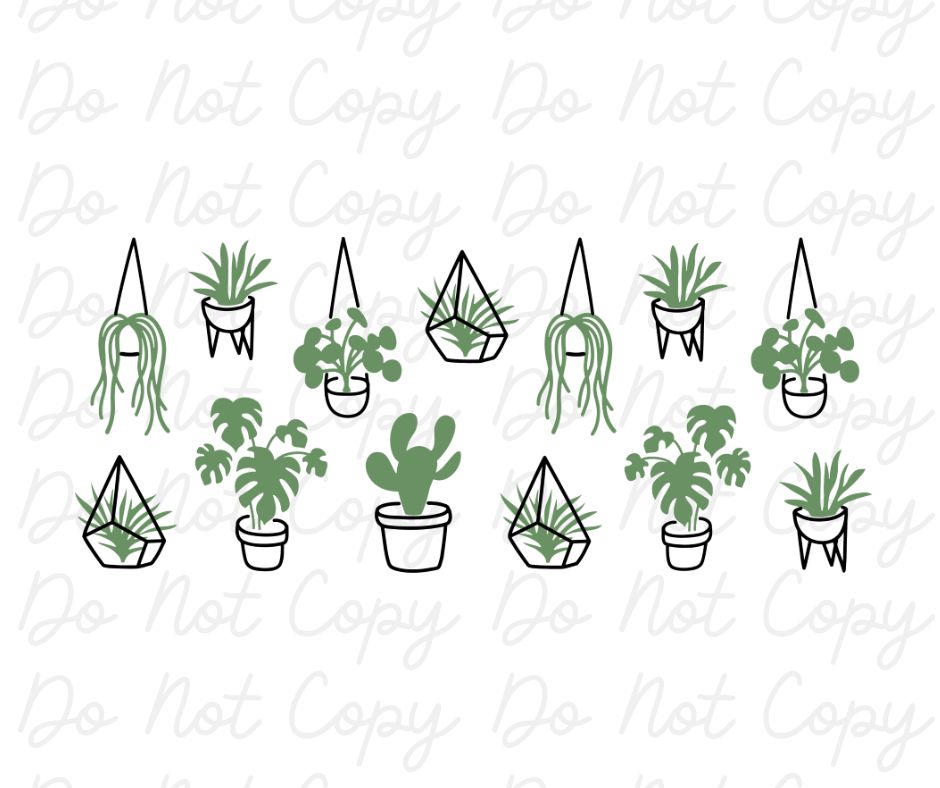 House Plants