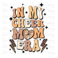 In My Cheer Mom Era